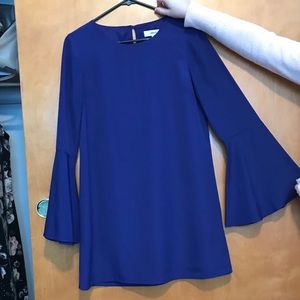 Blue bell sleeved dress